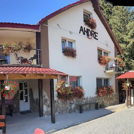 Cabana Andre Vartop Exterior foto